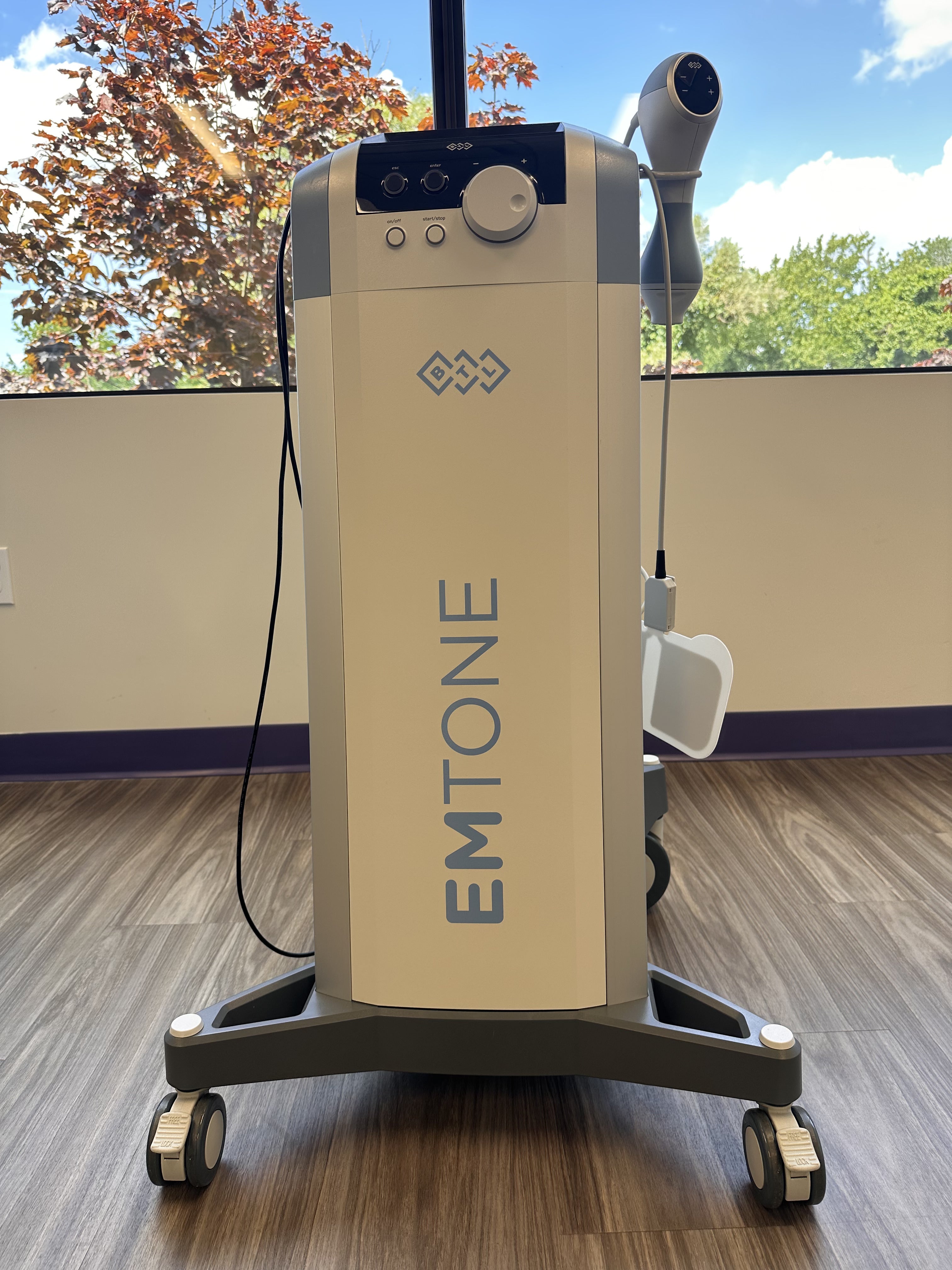 2022 BTL Aesthetics Emtone Machine for Sale